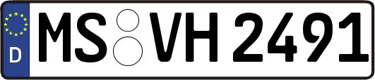 MS-VH2491