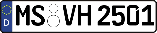 MS-VH2501
