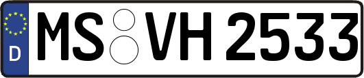 MS-VH2533