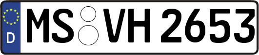 MS-VH2653