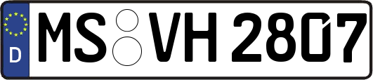 MS-VH2807