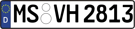 MS-VH2813