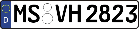 MS-VH2823