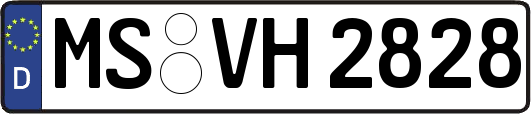 MS-VH2828