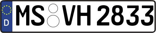 MS-VH2833