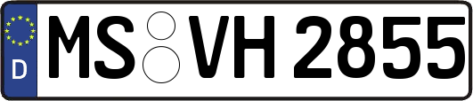 MS-VH2855