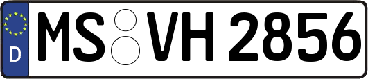 MS-VH2856