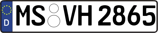 MS-VH2865