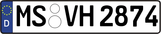MS-VH2874