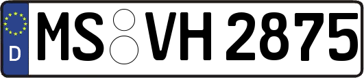 MS-VH2875