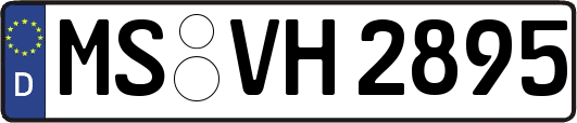 MS-VH2895