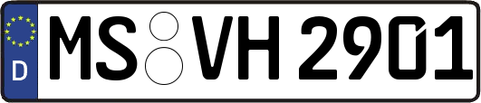 MS-VH2901