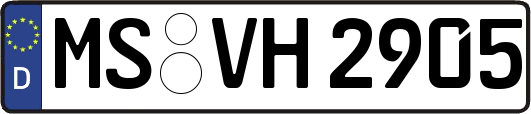 MS-VH2905