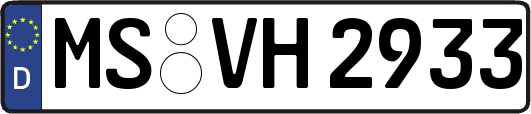 MS-VH2933