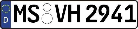 MS-VH2941