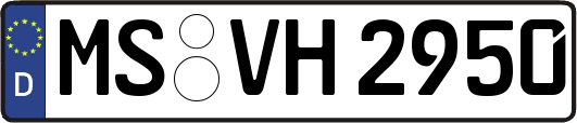 MS-VH2950