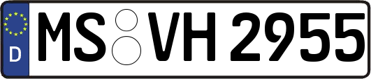 MS-VH2955
