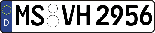 MS-VH2956