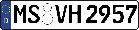 MS-VH2957