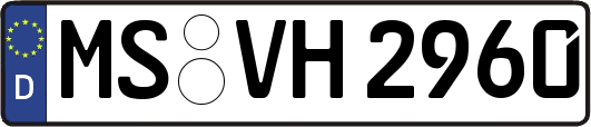 MS-VH2960