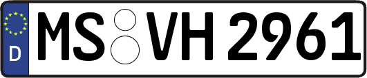 MS-VH2961