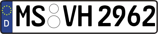 MS-VH2962