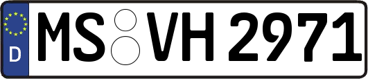 MS-VH2971