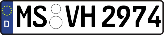 MS-VH2974