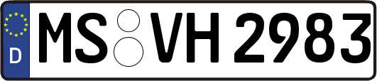 MS-VH2983