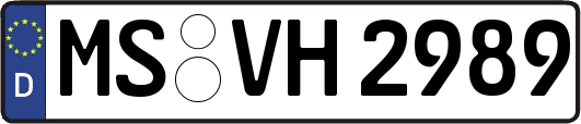 MS-VH2989
