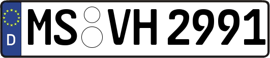 MS-VH2991