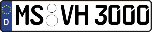 MS-VH3000