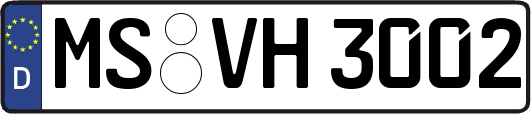MS-VH3002