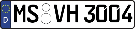 MS-VH3004