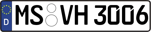 MS-VH3006