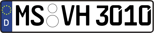 MS-VH3010