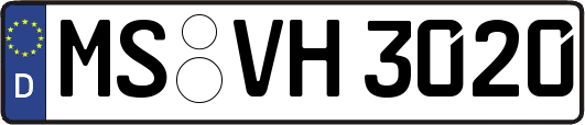 MS-VH3020
