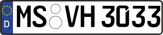 MS-VH3033