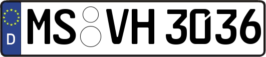 MS-VH3036
