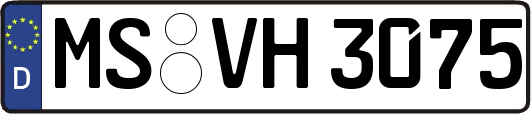 MS-VH3075