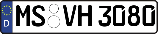 MS-VH3080