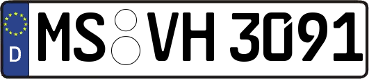 MS-VH3091