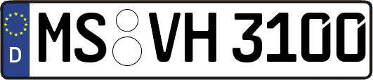 MS-VH3100