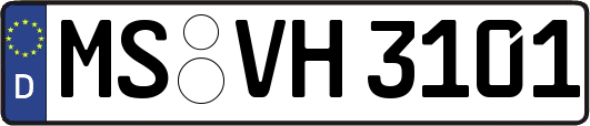 MS-VH3101