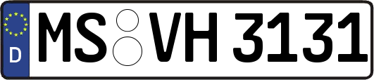 MS-VH3131