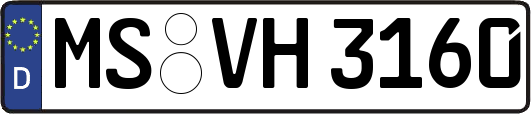 MS-VH3160