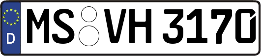 MS-VH3170