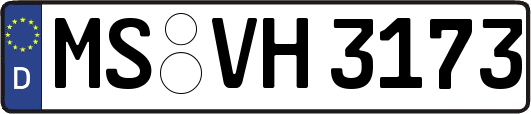 MS-VH3173