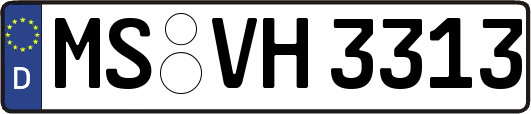 MS-VH3313