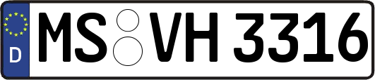 MS-VH3316